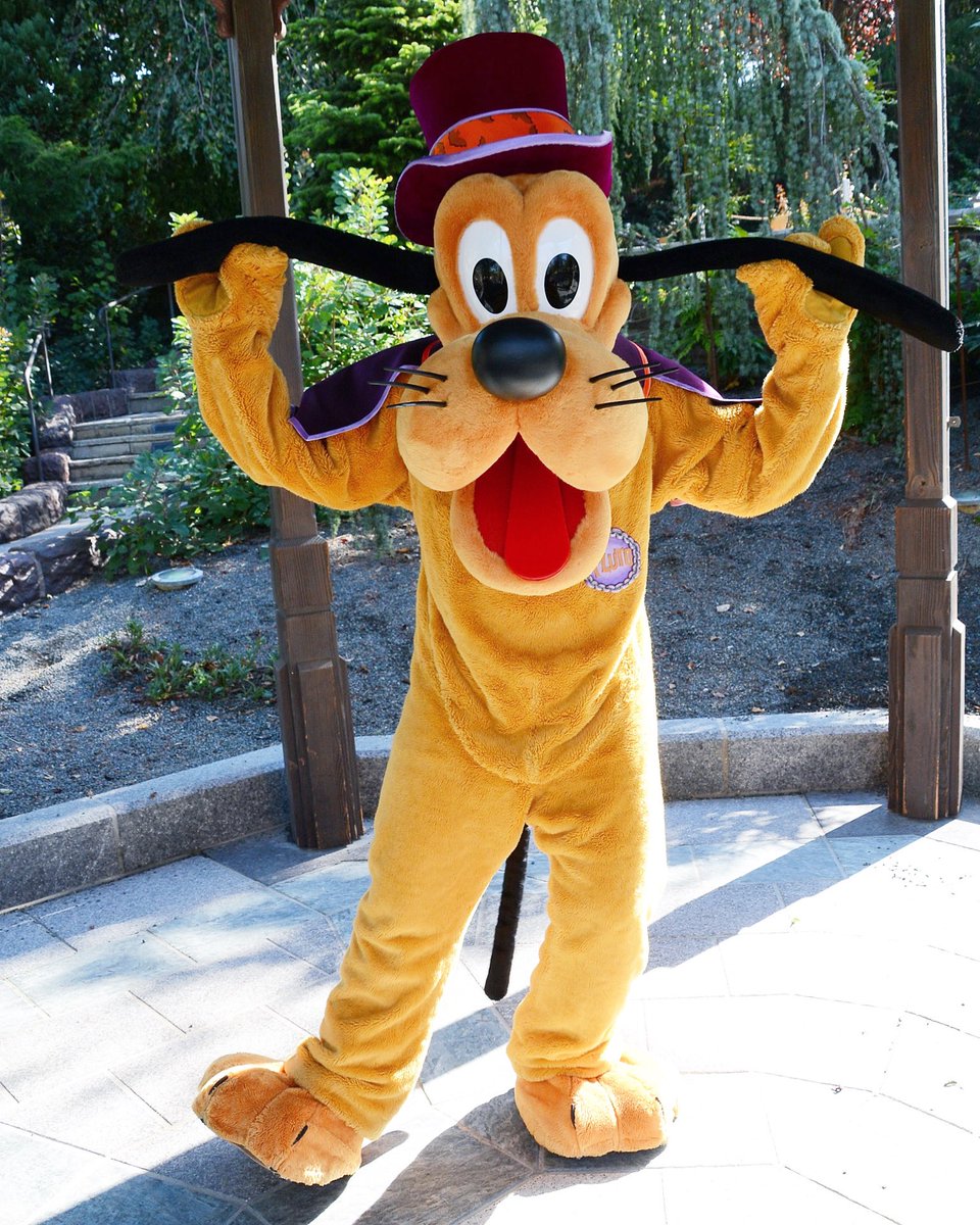 Cave0fWonders's tweet photo. ✨ 🐶 💜👻 ✨️

#disneylandparis https://t.co/YcI1e8ag7s