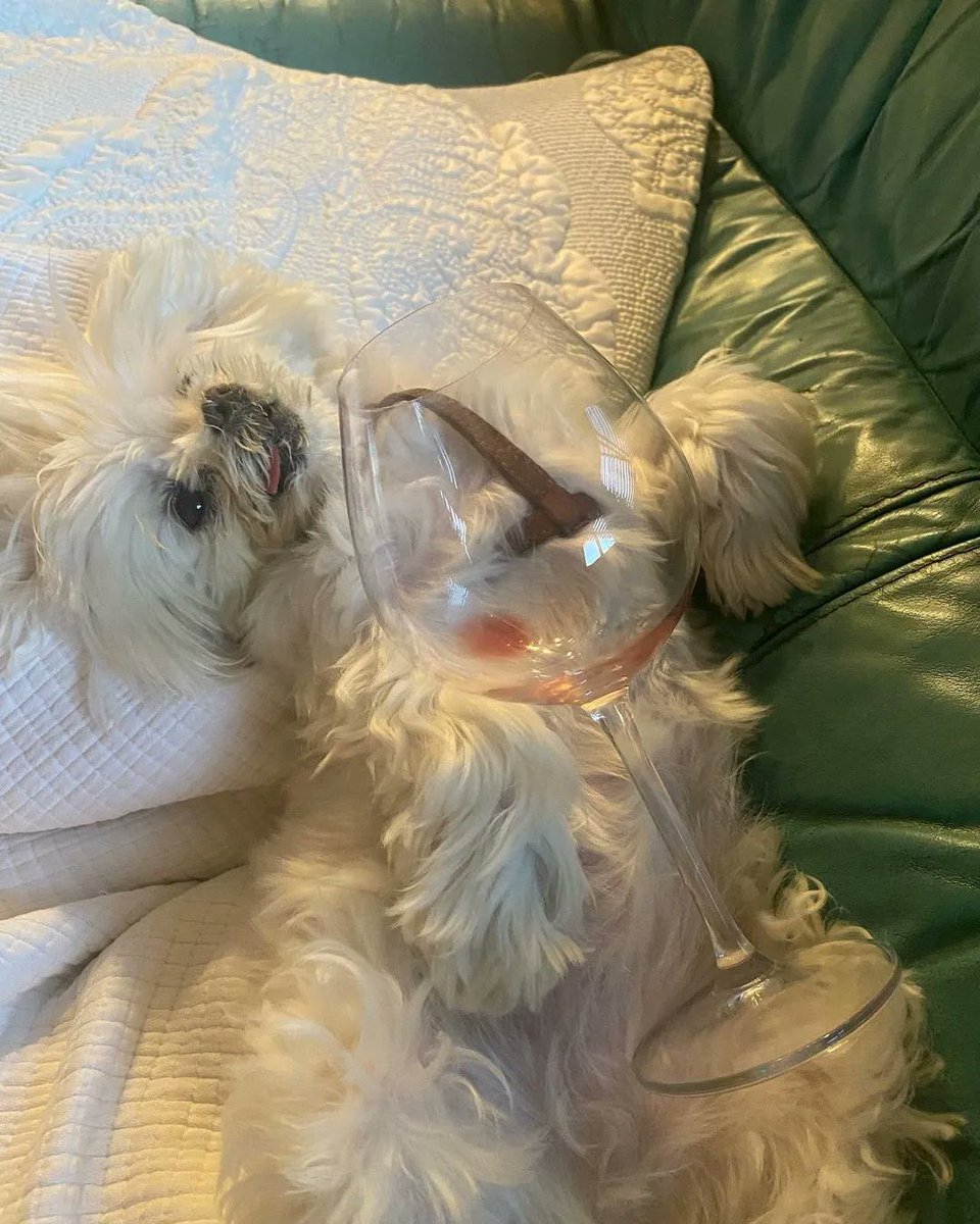 RÖD Wine tweet media