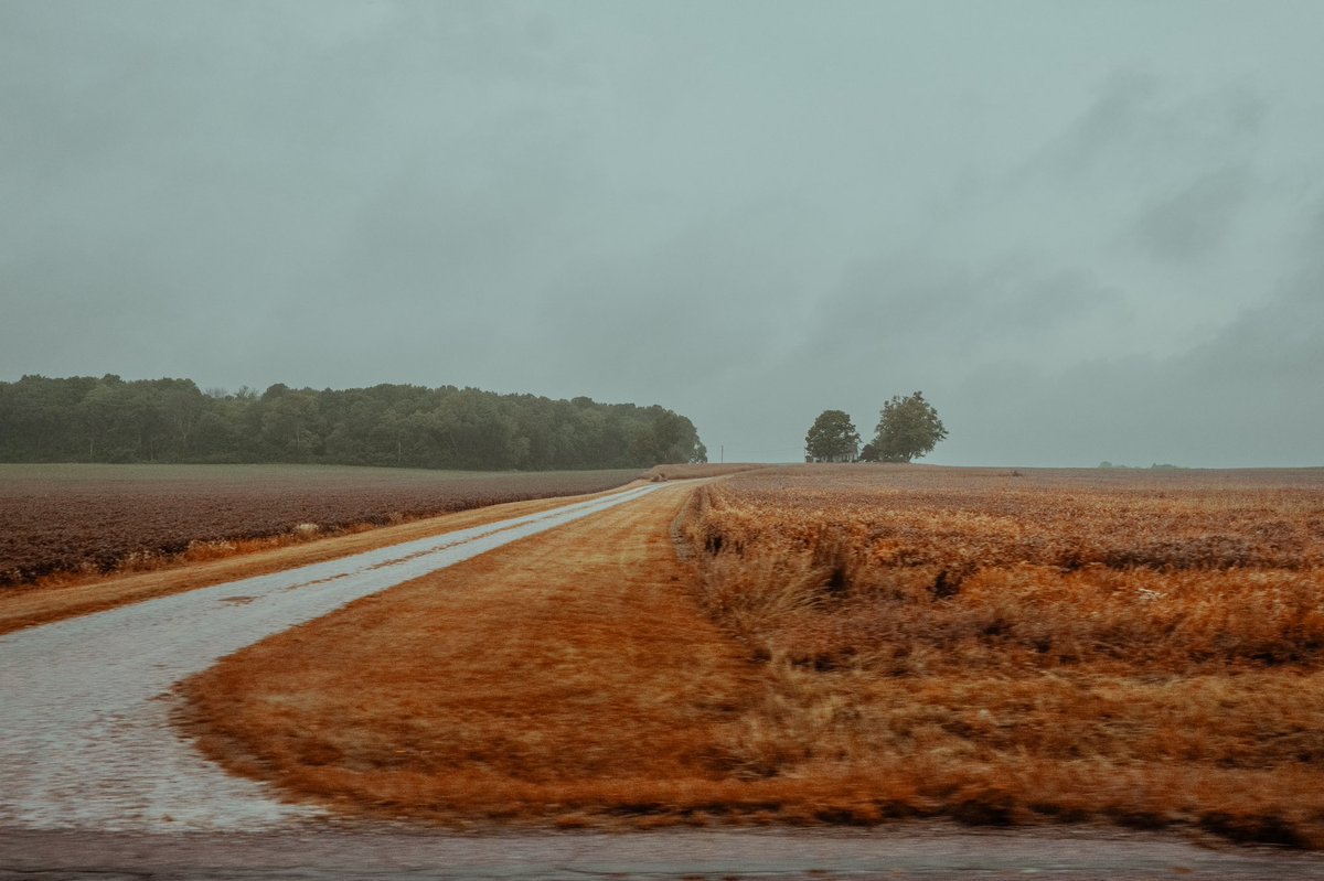 xjamesramos's tweet photo. Riding shotgun on the crossroads of America.
#fujifilm #fujixpro3 #fuji23mmf2 #crossroadsofamerica @FujifilmX_US https://t.co/8ldhU5NE0i