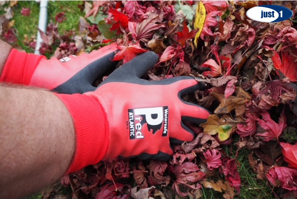 Just1Source's tweet photo. Autumn Gloves at the Ready! 🍂

As Summer comes to an end &amp; the weather becomes more unpredictable, the Pred Atlantic is the perfect solution. Offering Waterproof capabilities &amp; superb wet or dry grip – the Pred Atlantic is sure to offer great protection.

https://t.co/2SQ4GEpl65 https://t.co/BXniG3Ai3u