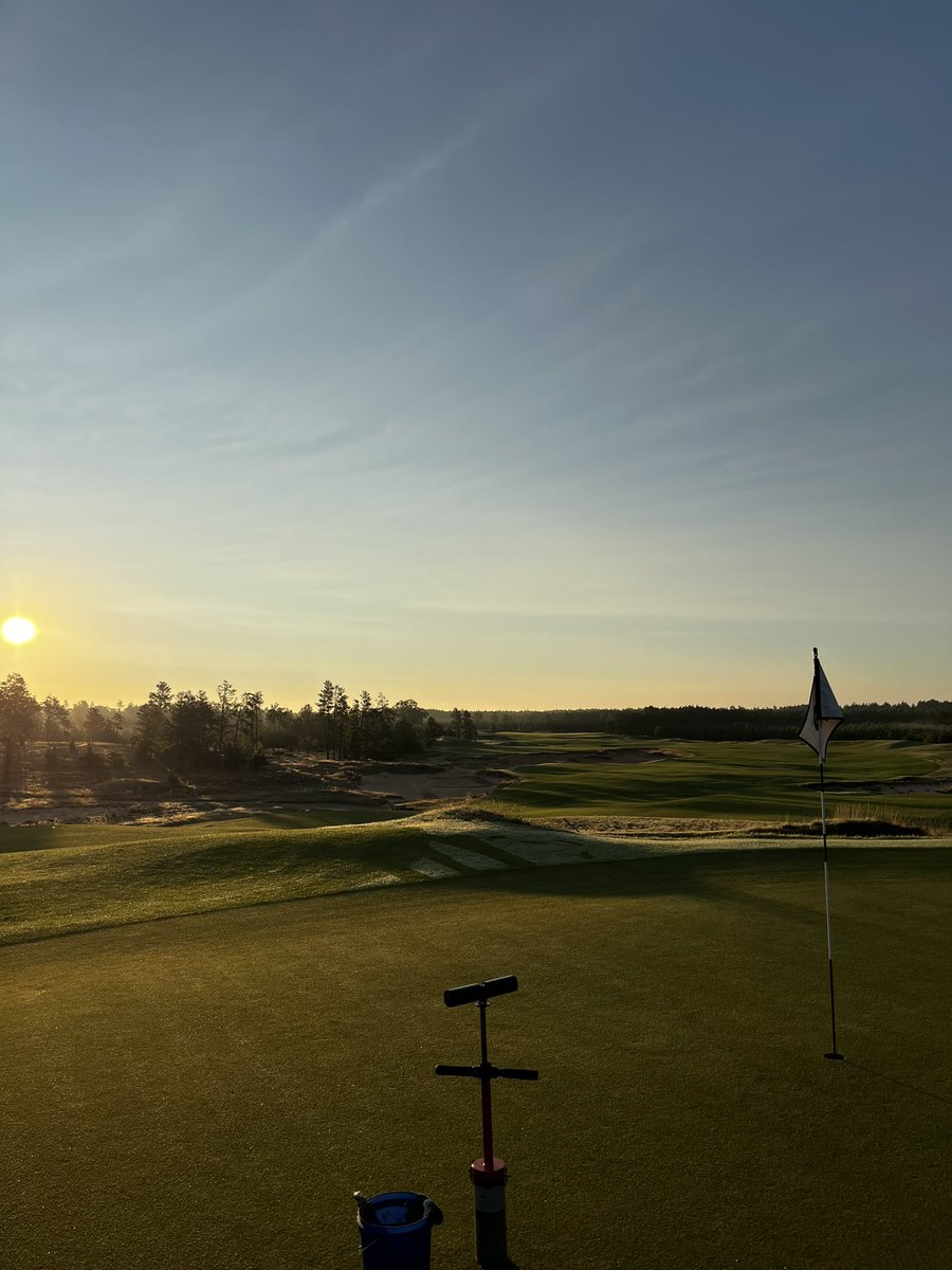 Tristan Wood tweet media