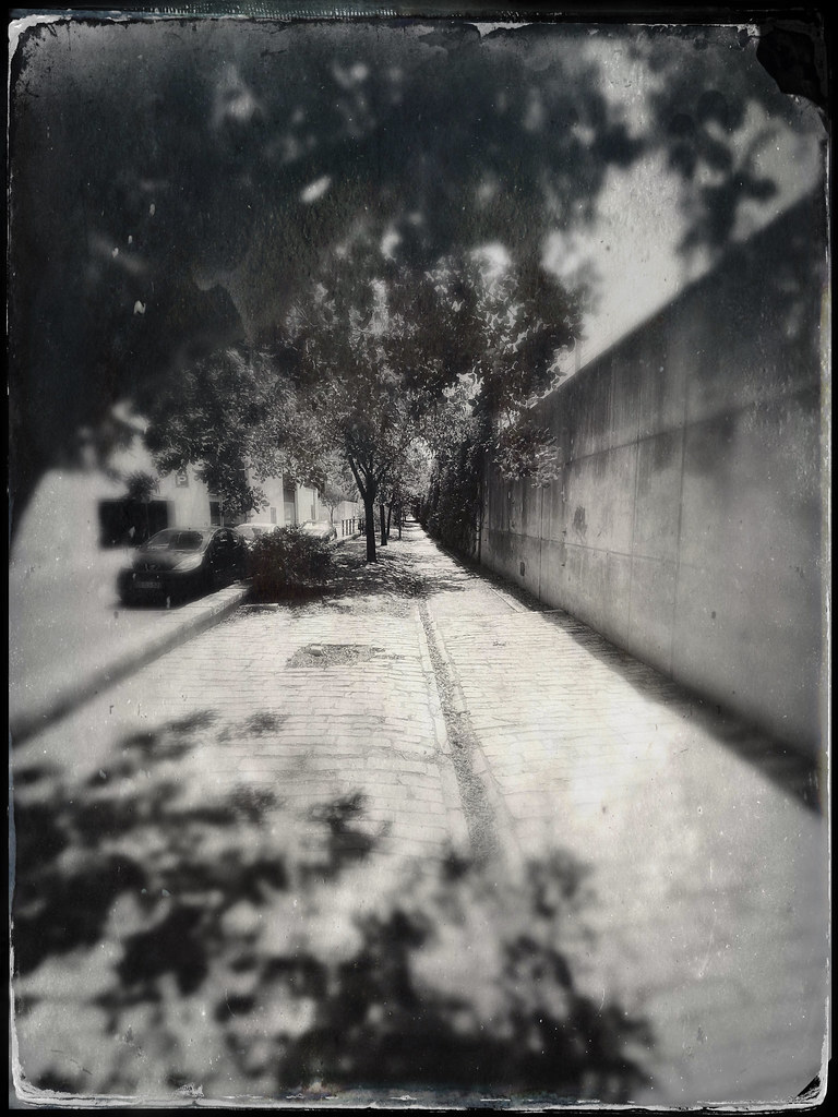 psebastiao's tweet photo. Walkway, my new picture on #Flickr https://t.co/cP71Epyegh #Photography #Sebastiao #oldschoolphotography https://t.co/ofzjlPZrp5