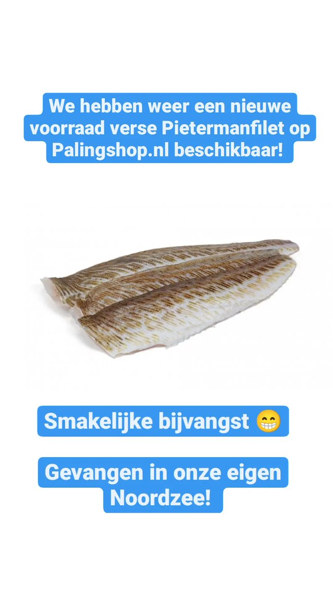 Palingshop's tweet photo. Heerlijke Pietermanfilet!

https://t.co/wEiu3NBeuA

 #bijvangst #pieterman https://t.co/aiHs6Bn62i