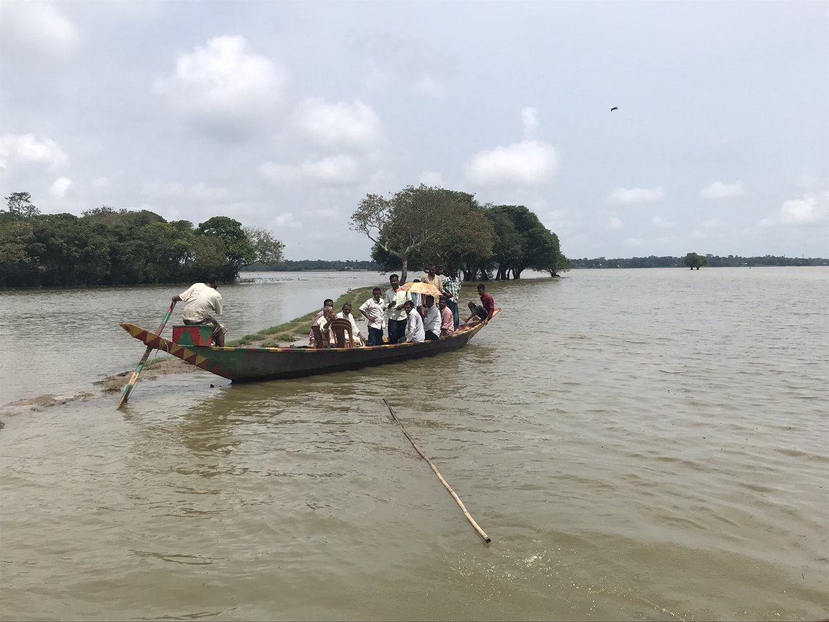 RCDicksonUK's tweet photo. The Haor wetlands of 🇧🇩have a vital role in the region’s ecology. Great to see the work being done by #IUCN to raise community and global awareness of the importance of conserving biodiversity in these rich and varied seasonal habitats. Lots of cormorants in the colony. https://t.co/3Z0RshGsf9