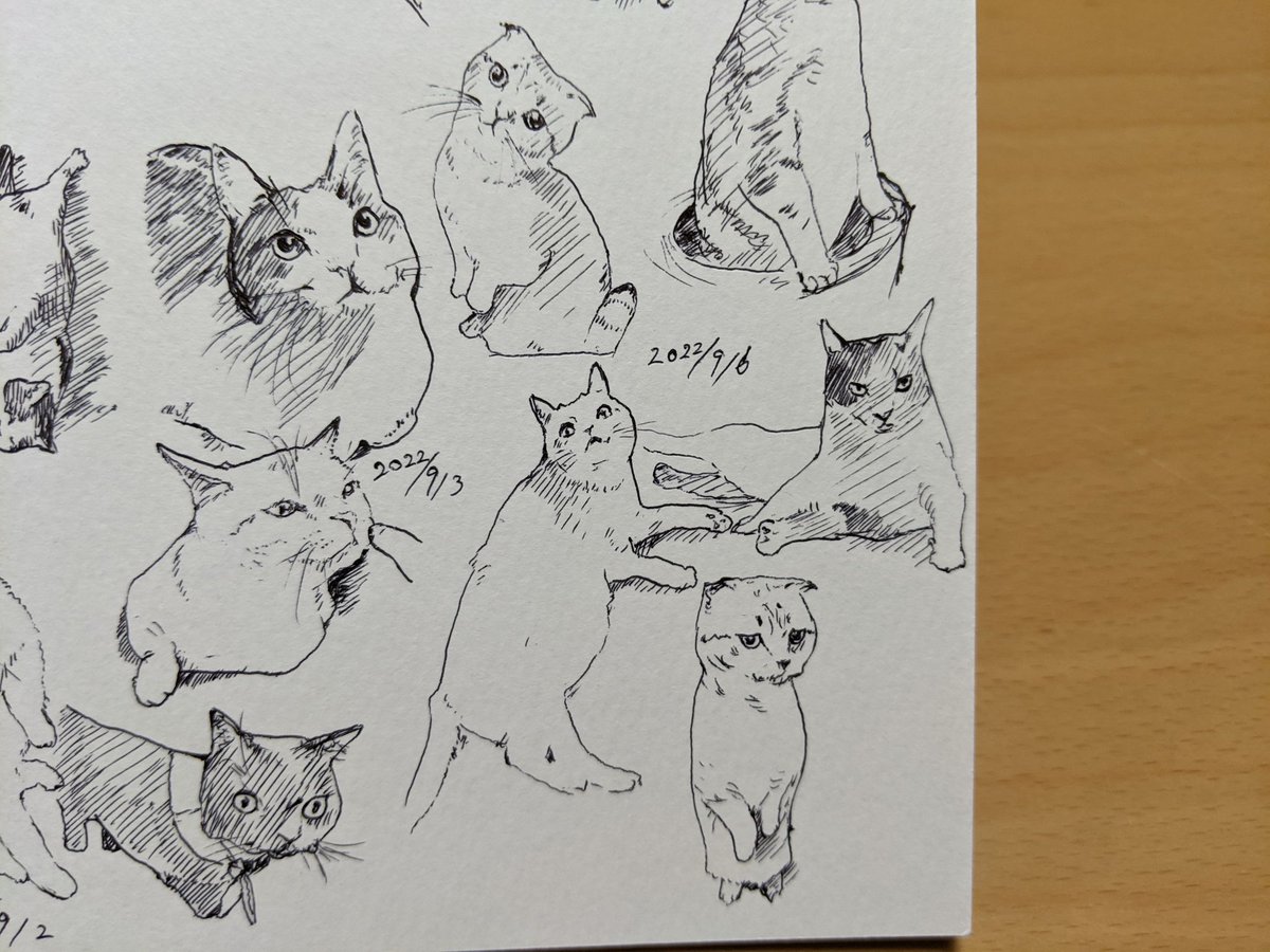 台風どっか行った…? 