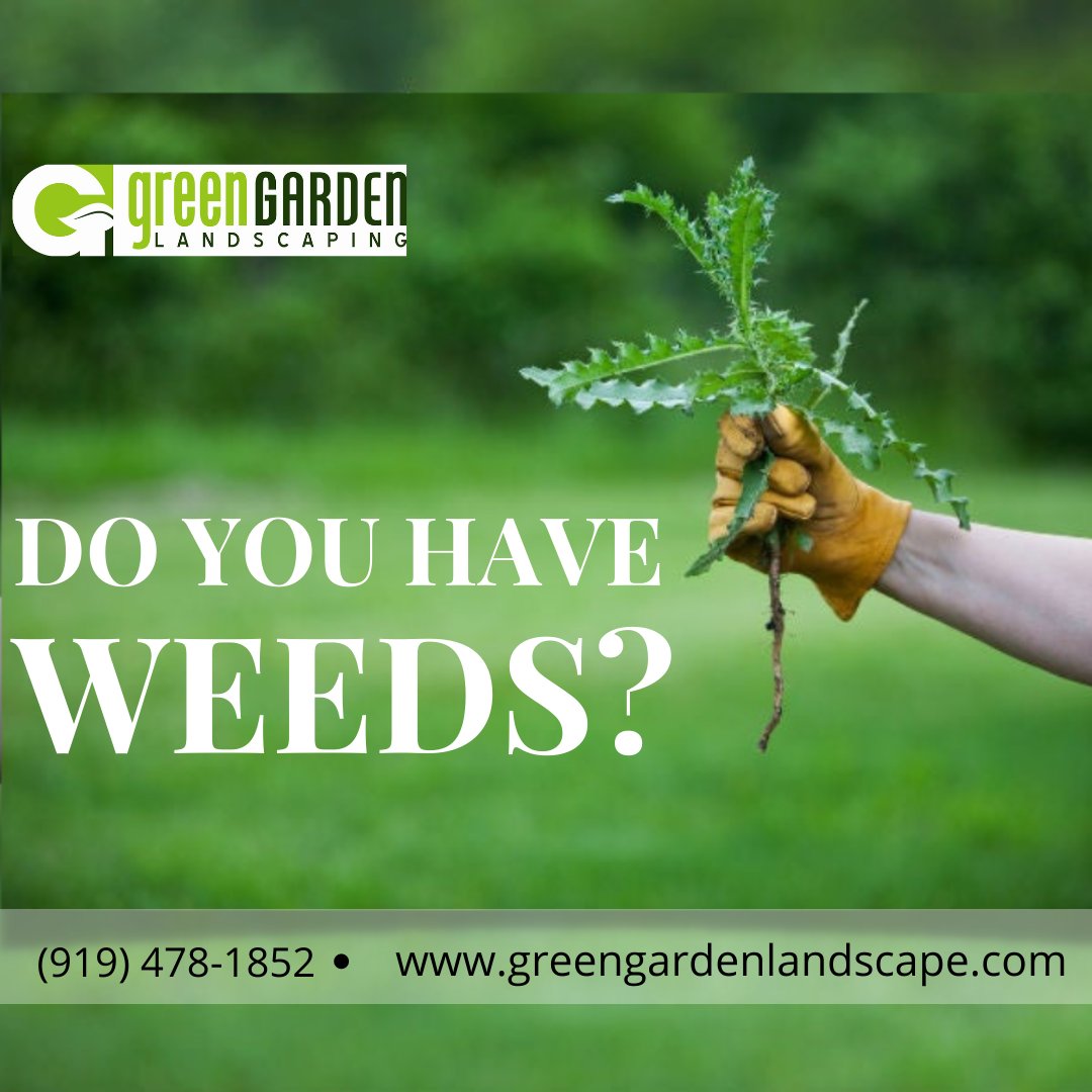GGL_LC's tweet photo. Pulling weeds can't help your lawn, there's a better way to get rid of them all.
To find out more, contact weed control experts at (919) 478-1852
https://t.co/yEg6bFeNLz

#lawncare #weedcontrol #lawncare #maintenance #lawnexperts #sanford #cameron #pinehurst #lillington #carthage https://t.co/0PdtcJp4I2