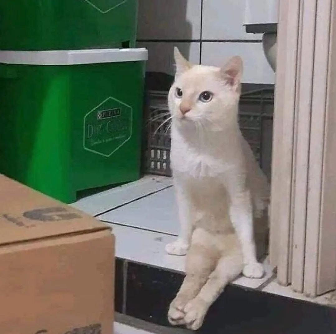 sittin waitin wishin