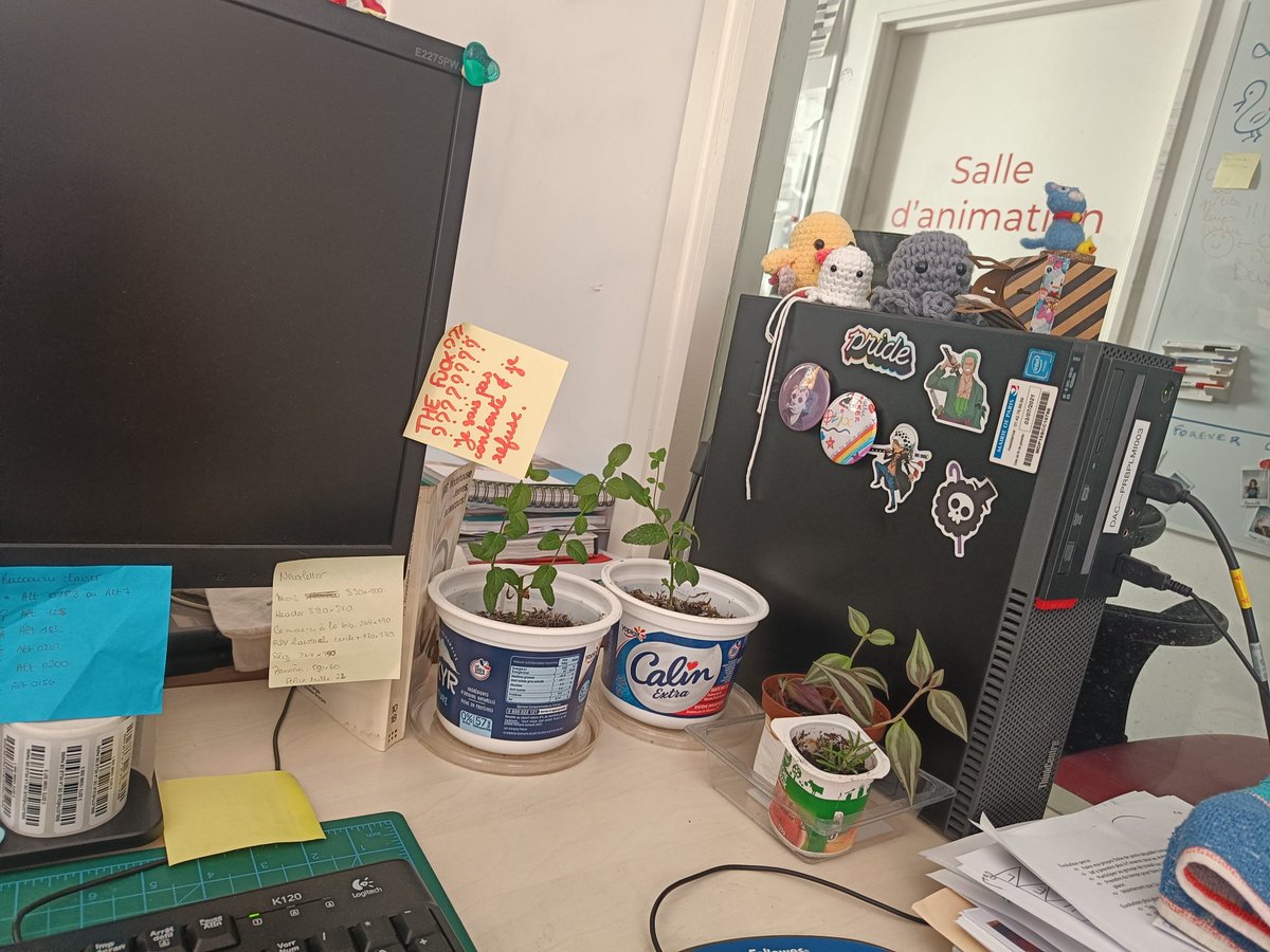 just_librarian's tweet photo. j'ai rangé mon bureau un peu donc ça mérite des photos de ma jolie déco https://t.co/4QSNR0W3Gh