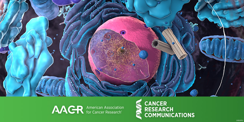 CRC_AACR's tweet photo. #ICYMI: #STAG2 expression is associated with adverse survival outcomes and regulates cell phenotype in muscle-invasive #bladdercancer. Read more in this study by @_SarahAthans et al.
https://t.co/60iKLCSnOg
@RoswellPark #openaccess https://t.co/7Xf3taA3sZ