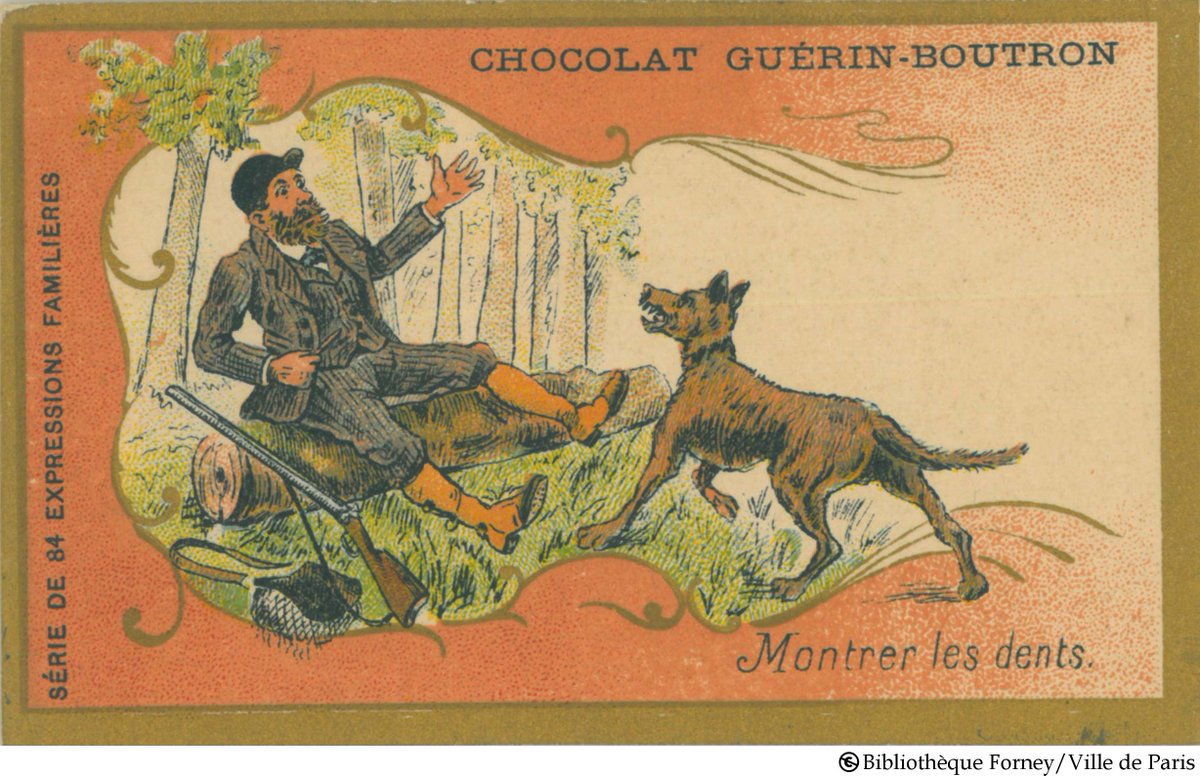 BibHavel's tweet photo. [Chapnum animale] Montrer les dents (bien utile pour croquer dans la tablette)

https://t.co/ASA2fJ3c0u

#Chapnum #Chapellenumérique @BibParis @bibhistorique @marie18paris  #Animaux #Automnedelascience https://t.co/EMTFBIxFmH