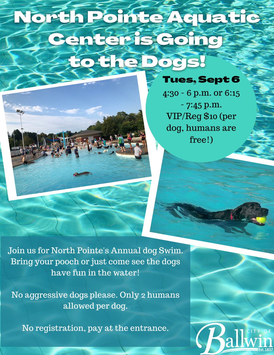 Don't forget, North Pointe's annual dog swim is THIS afternoon! Join us at 4:30 and 6:15 for a fun time for the pooches! $10/dog, more info here: bit.ly/3IKmdx9