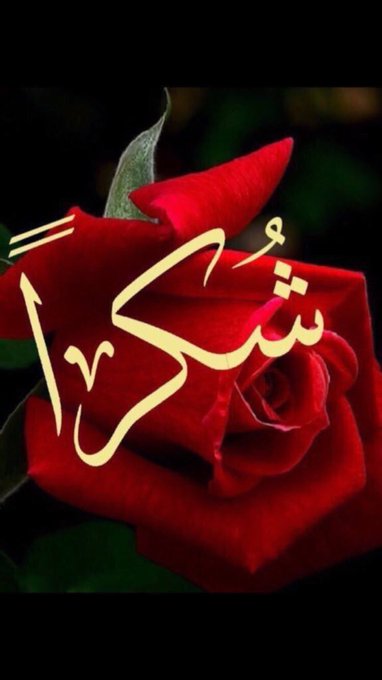 @Qiii_U2 @fhd76104808 @FHD50513 <a href="/Z_Q_1/">♕🥇آلمـلگي ⒺⓃⒼ. 🅩🅘🅐🅓🥈♕</a> @anoud_5050 <a href="/kd_123/">kd《123》</a> <a href="/k70Gi/">٭ᴀʟɪ٭</a> @Bassam_0021 <a href="/Loly_198/">أ̜̌بۈ إيَلُيَنا7️⃣1️⃣</a> <a href="/AM79361701/">الصاعقه لزيادة المتابعين تابعني اتابعك فورا</a> <a href="/Khalld5647/">خالد بن فهد 🇸🇦</a> <a href="/zp1741/">‏خالد بن فهد</a> @ara292561 <a href="/abufahdalaslimy/">‏أبوفـۿـد𒆜💙👨‍⚕️</a> <a href="/mody1987l/">Eng.Ahmed</a> <a href="/WLisapree/">waseem lisapree</a> <a href="/Adnanfathelgma1/">Adnan</a> <a href="/kokysharawi/">سيدة القصر❤❤🇪🇬🇪🇬</a> @ahad2565 <a href="/Reda993/">سنافي قديم</a> <a href="/mariem_khiry/">مريووومه</a> تسلم ايدك على الدعم الجميل