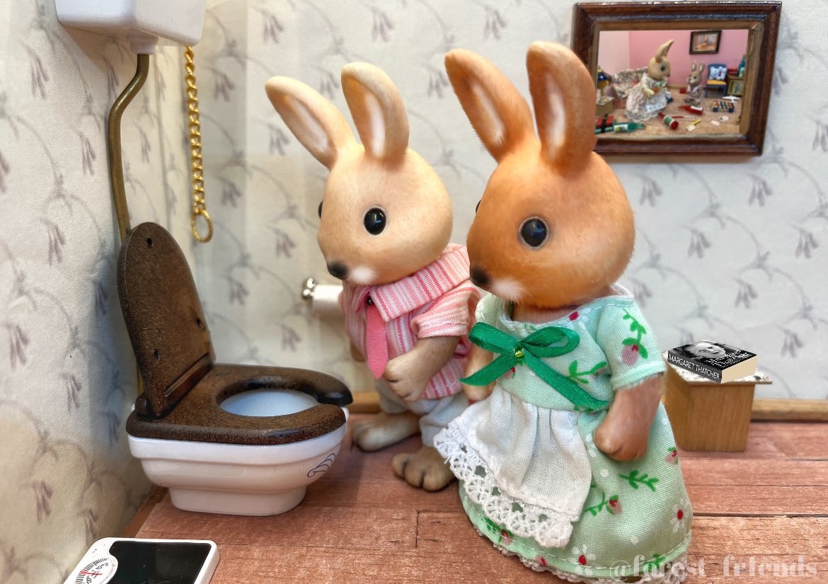 forest_fr1ends's tweet photo. look at this, i’ve just flushed one futile turd away and it’s been immediately replaced with a different futile turd… https://t.co/m0L5bzXTHz