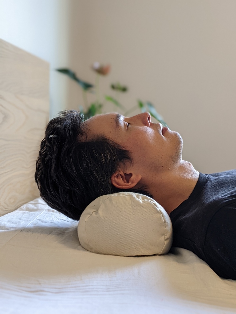 comfycomfyca's tweet photo. Our Back Sleeper pillow drops tomorrow at 11am EST. Save 15% off the first 2 hours of launching with code BACKSLEEPER15

#buckwheatpillow #backsleeper #organicsleep #madeincanada #sleepbetter #cervicalpillow #cylindricalpillow #spinehealth #spinesupport https://t.co/6EpXkjbEov