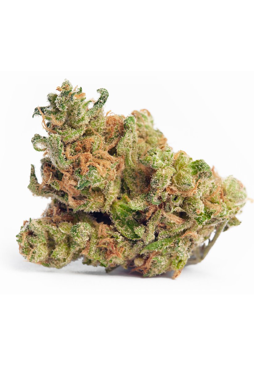 bredly_weed's tweet photo. You may have heard of the “Slow Lane” in reference to cannabis strains and wondered what exactly that means. You see, there are many names given to cannabis strains. Some are a result of the breeders who created them, while others refer to the effects

https://t.co/q1TmLB5tob https://t.co/gruMo0t3vJ