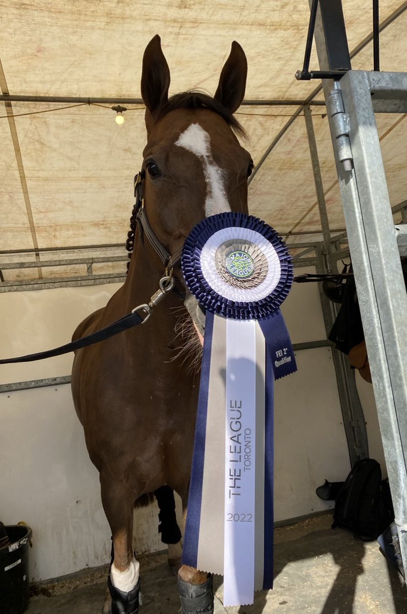 ACW_eq's tweet photo. Took Team Chestnut to Canada for two weeks, brought home a drawer full of ribbons and took absolutely ✨zero✨pictures https://t.co/yAWgtxT3Od