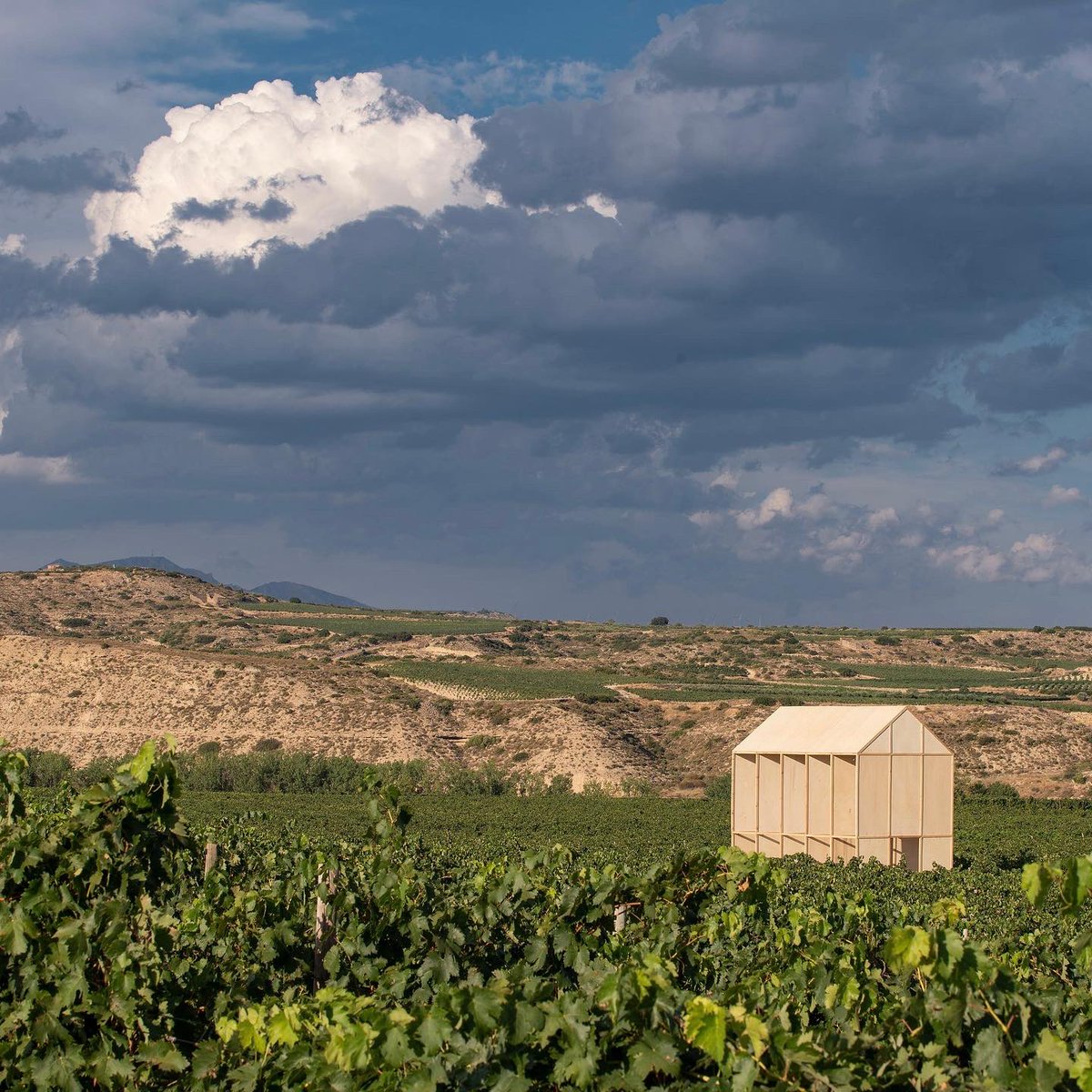 BodegasLan's tweet photo. Sois muchos los que habéis visitado “ El Arquetipo de la casa” con motivo de @concentricofest en nuestra Viña Lanciano 🍇
Un espacio que busca crear una atmósfera reflexiva y contemplativa respecto al contacto del hombre con la naturaleza. 
https://t.co/CYavhJtZSe https://t.co/PH2S8UdCFT