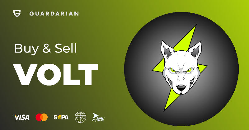 guardarian_com's tweet photo. How about buying #VOLTINU @VoltInuOfficial with +40 FIAT?⚡️

 Card &amp; Bank payments are accepted 🌍 #VOLTARMY #Guardarian