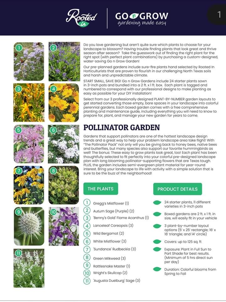 Rootedin_TX's tweet photo. #PollinatorSupporting gardens are ALL the buzz! Plant these plants to help YOUR garden take flight-- Get started with our ALL in ONE #GoNGrow garden box with 24 native plants and FREE plant-by-number designs, PLUS an easy-to-follow How-To Garden Guide! https://t.co/d1Yx9G3jFf https://t.co/AHZ2jDOPP2