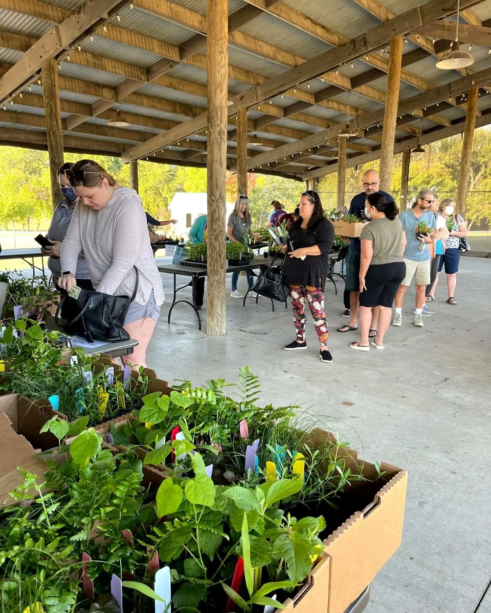 Rootedin_TX's tweet photo. #PollinatorSupporting gardens are ALL the buzz! Plant these plants to help YOUR garden take flight-- Get started with our ALL in ONE #GoNGrow garden box with 24 native plants and FREE plant-by-number designs, PLUS an easy-to-follow How-To Garden Guide! https://t.co/d1Yx9G3jFf https://t.co/AHZ2jDOPP2