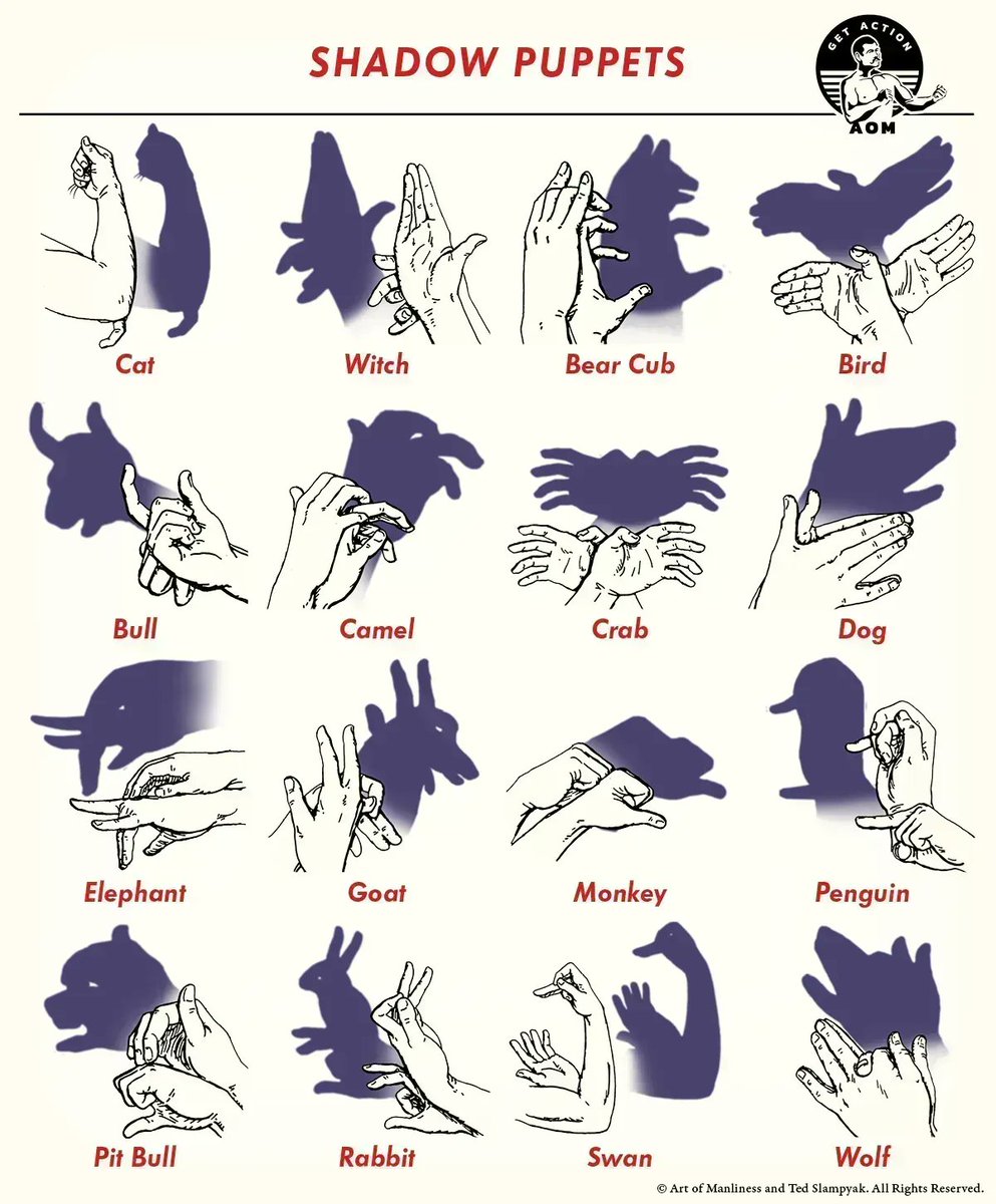 artofmanliness's tweet photo. How to Make 16 Shadow Puppets https://t.co/bdHn0u9ONE https://t.co/yoKhAjzCui