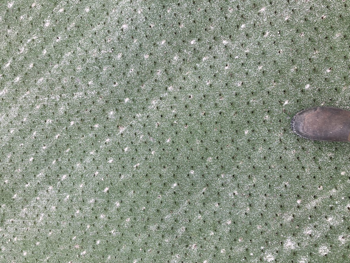 Tanasi Golf tweet media