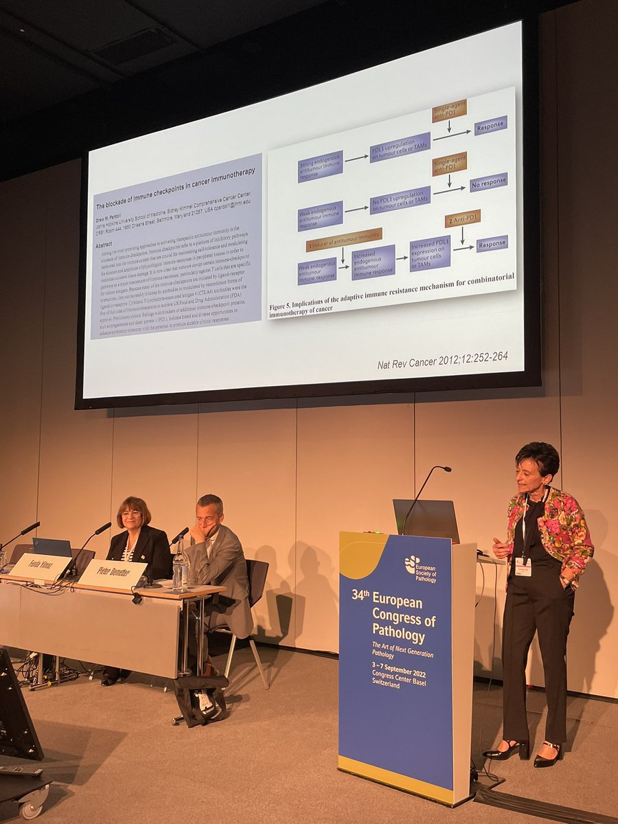 Turkish J Pathology (@turkjpath) on Twitter photo ESP National Societies Session organized by Federation of Turkish Pathology Societies <a href="/PatoDernFed/">Patoloji Dern Fed</a> and Belgian Society of Pathology in Basel!🤓 <a href="/ESP_Pathology/">European Society of Pathology (ESP)</a> #ecp2022 <a href="/fyilmazbarbet/">Funda Yılmaz Barbet</a> ESP National Societies Session organized by Federation of Turkish Pathology Societies <a href="/PatoDernFed/">Patoloji Dern Fed</a> and Belgian Society of Pathology in Basel!🤓 <a href="/ESP_Pathology/">European Society of Pathology (ESP)</a> #ecp2022 <a href="/fyilmazbarbet/">Funda Yılmaz Barbet</a>