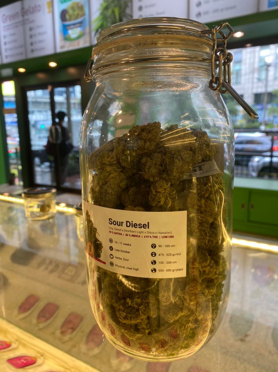 royalqueenseeds's tweet photo. Meanwhile in Thailand... 😎🇹🇭

We have opened a shop in Bangkok where you can buy our seeds and also buds!

When will cannabis be legal everywhere? https://t.co/SKce4U8e7O