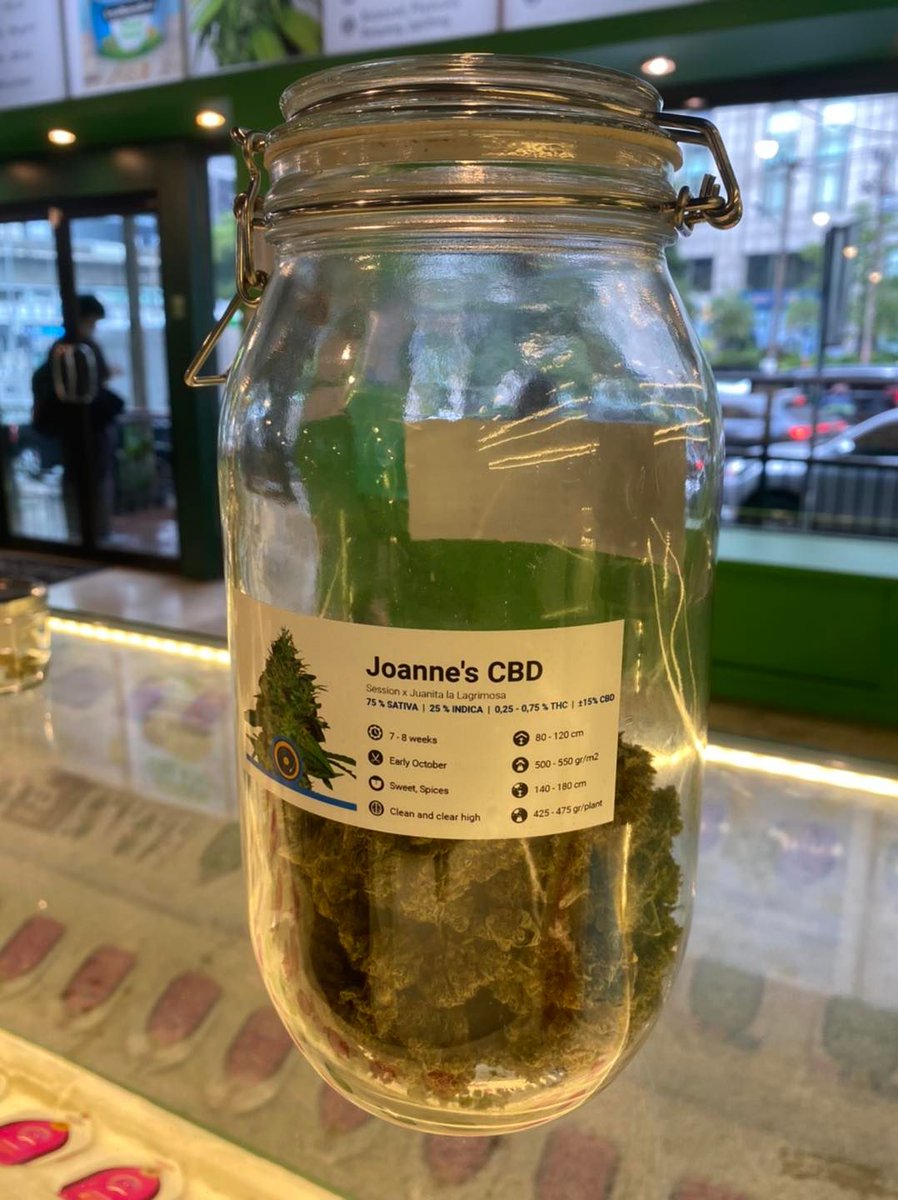 royalqueenseeds's tweet photo. Meanwhile in Thailand... 😎🇹🇭

We have opened a shop in Bangkok where you can buy our seeds and also buds!

When will cannabis be legal everywhere? https://t.co/SKce4U8e7O