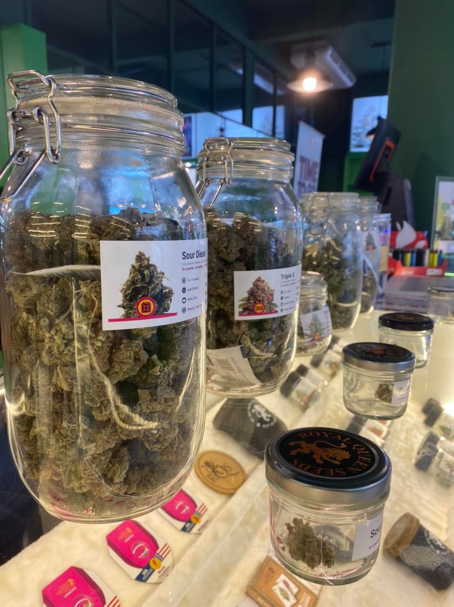 royalqueenseeds's tweet photo. Meanwhile in Thailand... 😎🇹🇭

We have opened a shop in Bangkok where you can buy our seeds and also buds!

When will cannabis be legal everywhere? https://t.co/SKce4U8e7O