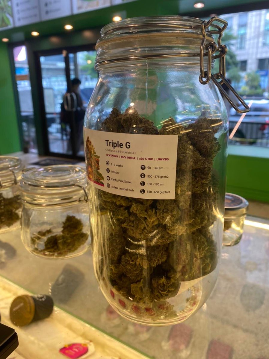 royalqueenseeds's tweet photo. Meanwhile in Thailand... 😎🇹🇭

We have opened a shop in Bangkok where you can buy our seeds and also buds!

When will cannabis be legal everywhere? https://t.co/SKce4U8e7O