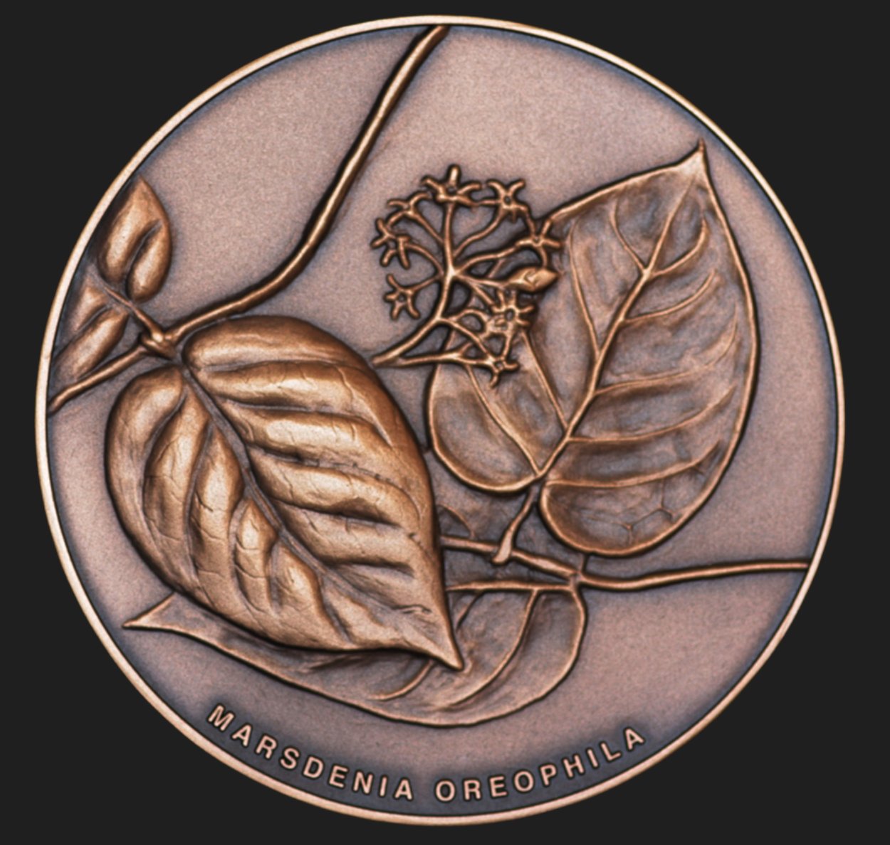 The Linnean Society of London (LinneanSociety) / Twitter