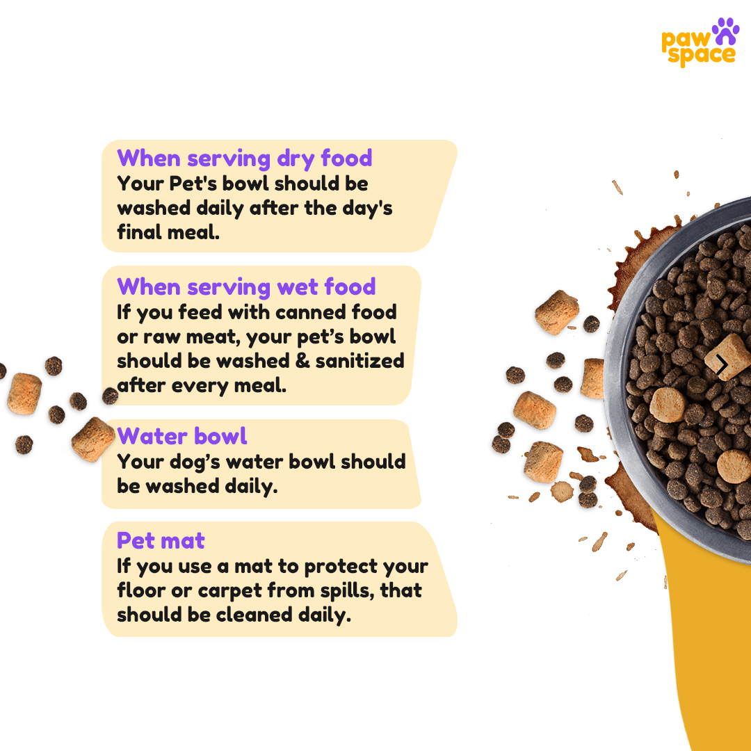 Pawspaceindia's tweet photo. For all our sloppy &amp; pampered felines &amp; pooches - keeping their bowls clean can sometimes be hassled So we are here with small helpful tips to make sure that your pet’s bowls are spick and span clean!
How do you keep your pet’s bowl clean?
Any great tip!!
Share, Comment &amp; Like. https://t.co/0fAv3GNhny