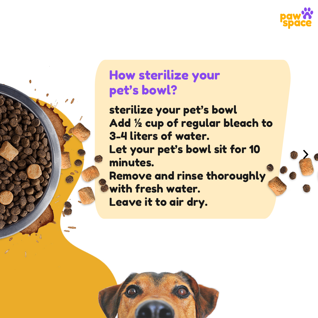 Pawspaceindia's tweet photo. For all our sloppy &amp; pampered felines &amp; pooches - keeping their bowls clean can sometimes be hassled So we are here with small helpful tips to make sure that your pet’s bowls are spick and span clean!
How do you keep your pet’s bowl clean?
Any great tip!!
Share, Comment &amp; Like. https://t.co/0fAv3GNhny