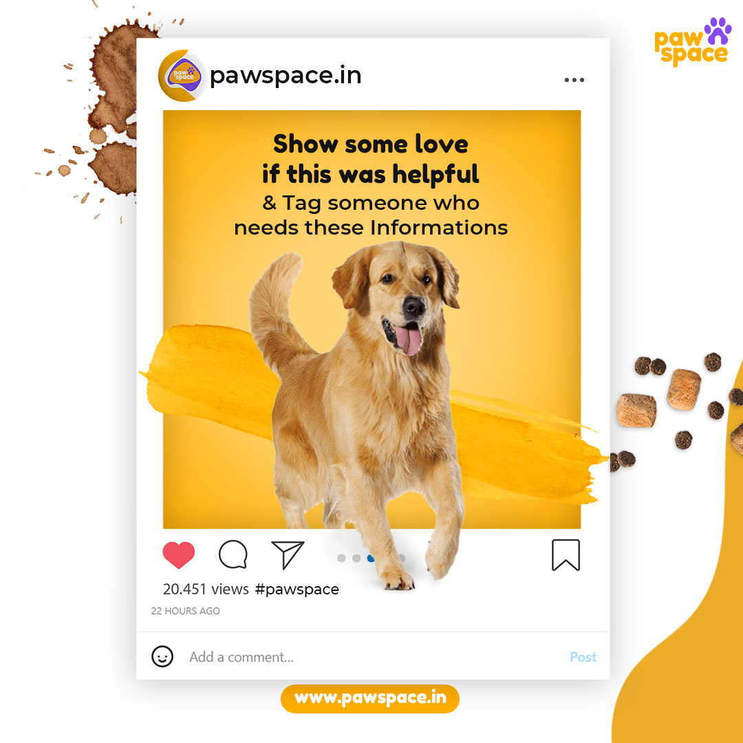 Pawspaceindia's tweet photo. For all our sloppy &amp; pampered felines &amp; pooches - keeping their bowls clean can sometimes be hassled So we are here with small helpful tips to make sure that your pet’s bowls are spick and span clean!
How do you keep your pet’s bowl clean?
Any great tip!!
Share, Comment &amp; Like. https://t.co/0fAv3GNhny