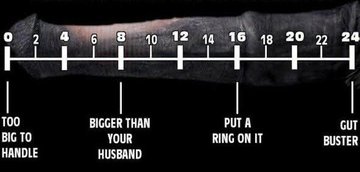 Let 's see how far I could go~