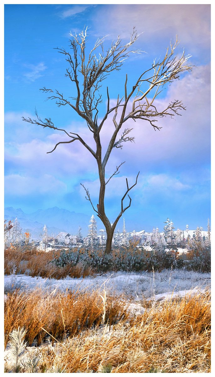 Jakeste66386991's tweet photo. A small collection of trees...😍🥰
For #TCCsingular | #TheCapturedCollective
#AssassinsCreedValhalla #ACFinest @UbisoftMTL
#SVP #ZarnGaming #VPUnityHub #VGPNetwork #VGPUnite #UBIPhotos #QZVP #WorldofVP #VirtualPhotography #XboxSeriesX https://t.co/qej0DGgrWb