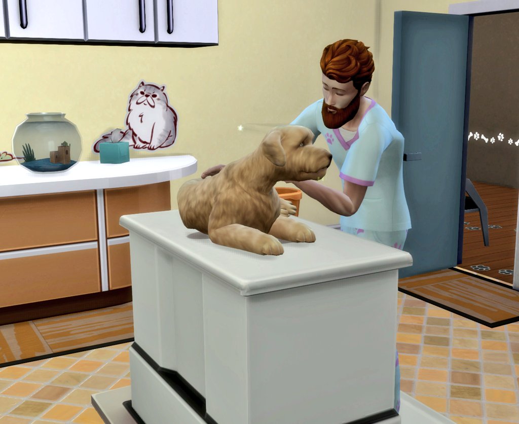 _LizDoesThings's tweet photo. Leila found this poor sick dog outside 🥺

She adopted the pup and took it to the vet
Obviously, she paid for the best treatment available! 🐕❤️‍🩹

#TS4 #TheSims4 #Sims4 #TheSims https://t.co/DhPzBopYJ7