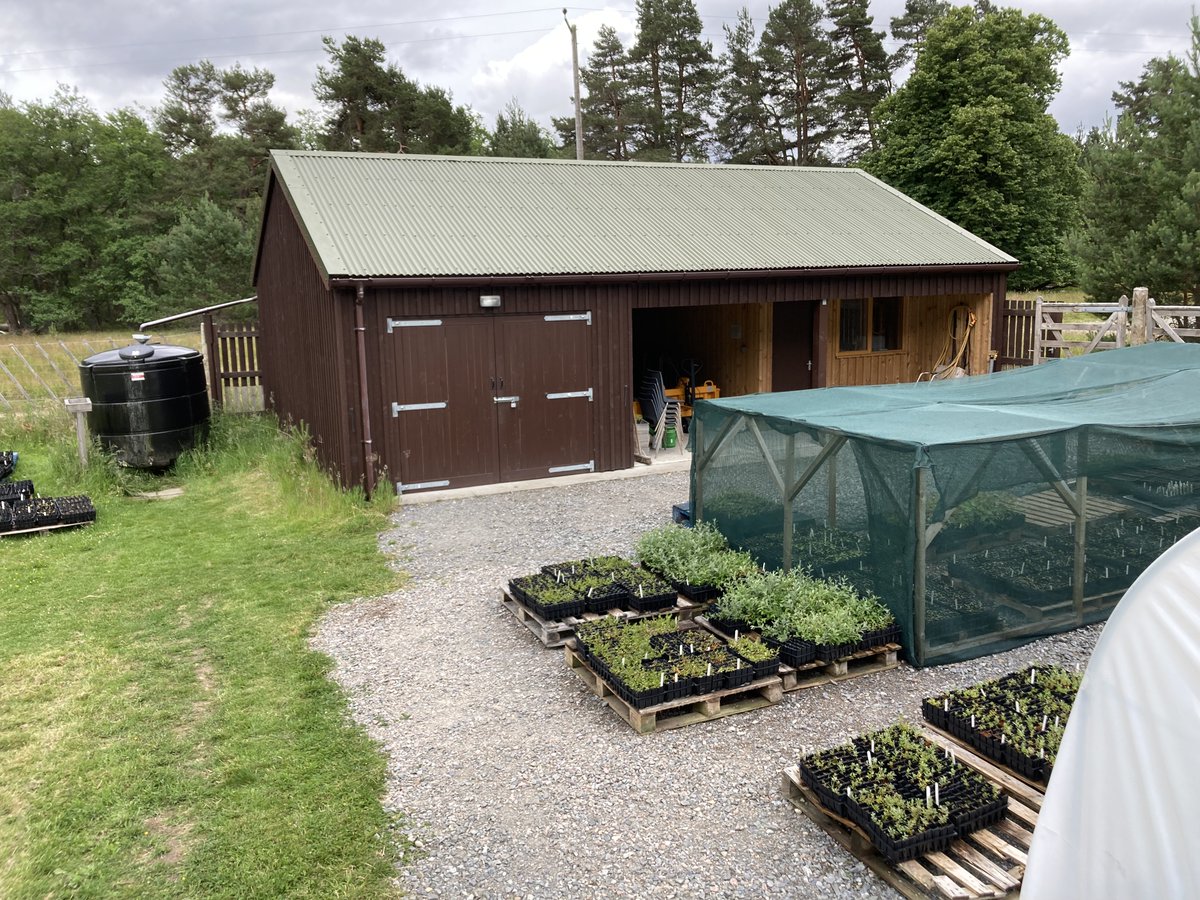 Thank you to Trees For Life for hosting us at Dundreggan Tree Nursery this morning to learn about sourcing local seed and growing native trees. Also thanks to Little Assynt Tree Nursery and Cairngorms Connect Tree Nursery. #riverwoods