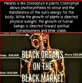 HauntedHotep's tweet photo. https://t.co/3zAR8IkCWv