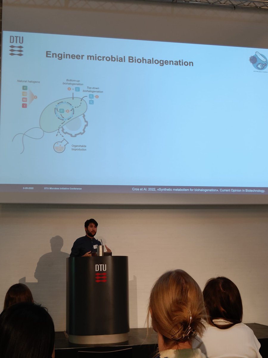 Alberto De Maria tweet media