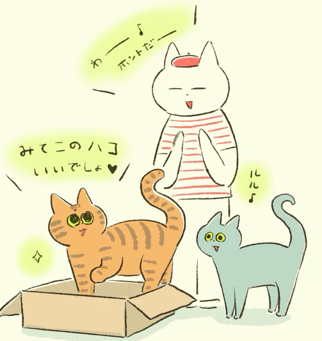 まいにちお気に入りの箱を
紹介してくれるコバ🎁

🐱🐱🐱

#momokoba 