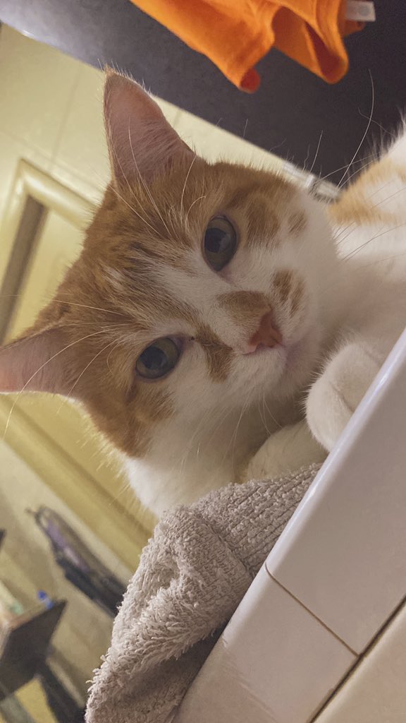 Юлия Сергеевна tweet media