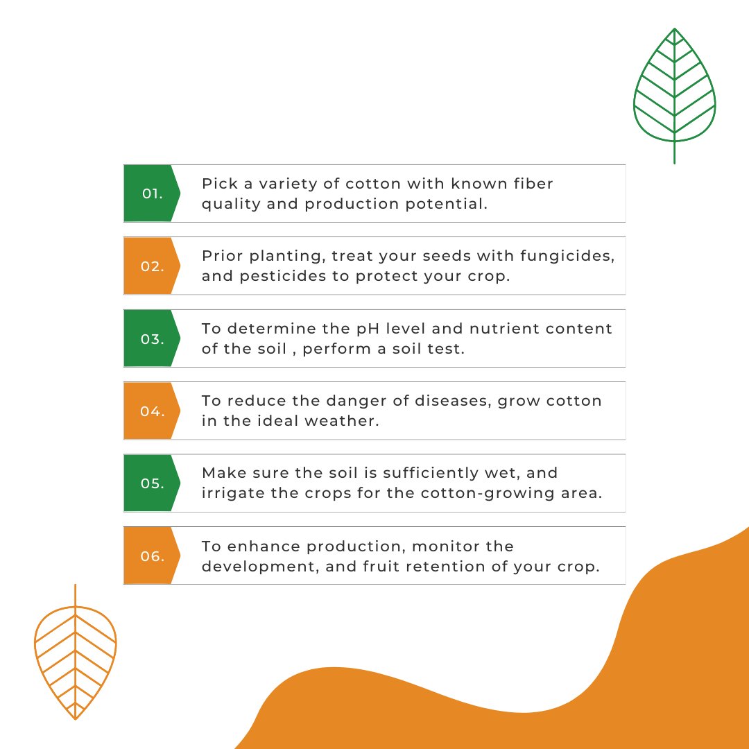 mapmycrop's tweet photo. #CROPOFTHEWEEK

This week, we will update you on Cotton. Our insights will help you increase yields, prevent harmful pests, easily identify diseases, and more!

#cotton #agriculture #cottonyields #farmers #farming #farmlife #nature #seeds #farmingtips https://t.co/Her77Wb2Cq