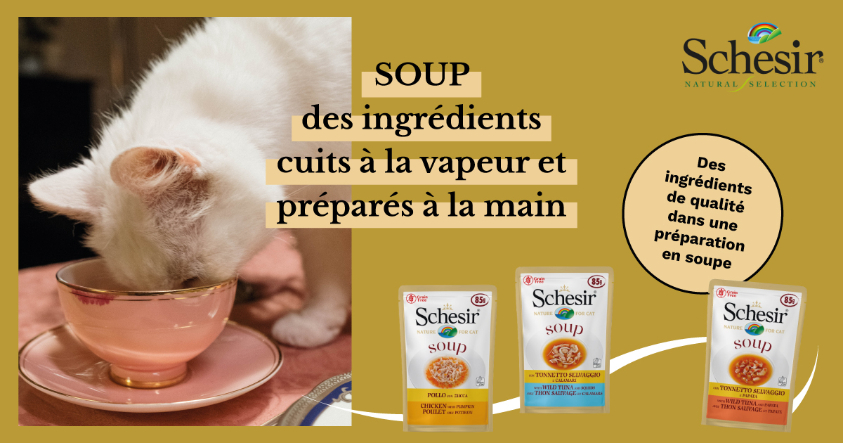 Avec ces préparations en soupe appétissantes Schesir, votre chat pourra s'hydrater tout en mangeant ! 😺
➡ verlina.com/recherche?utm_…