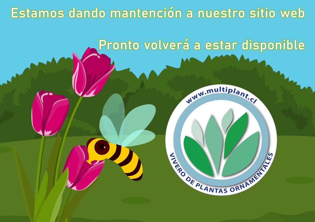 Multiplant1's tweet photo. Trabajamos para mejorar la usabilidad de nuestra tienda online y así mejorar la experiencia de navegación, pronto volveremos a estar online 🍀🌞
¡Que tengan una excelente semana!
#ViveroOnline #Multiplant https://t.co/55G01sXqWI