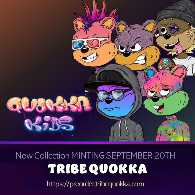 Tribe Quokka tweet media