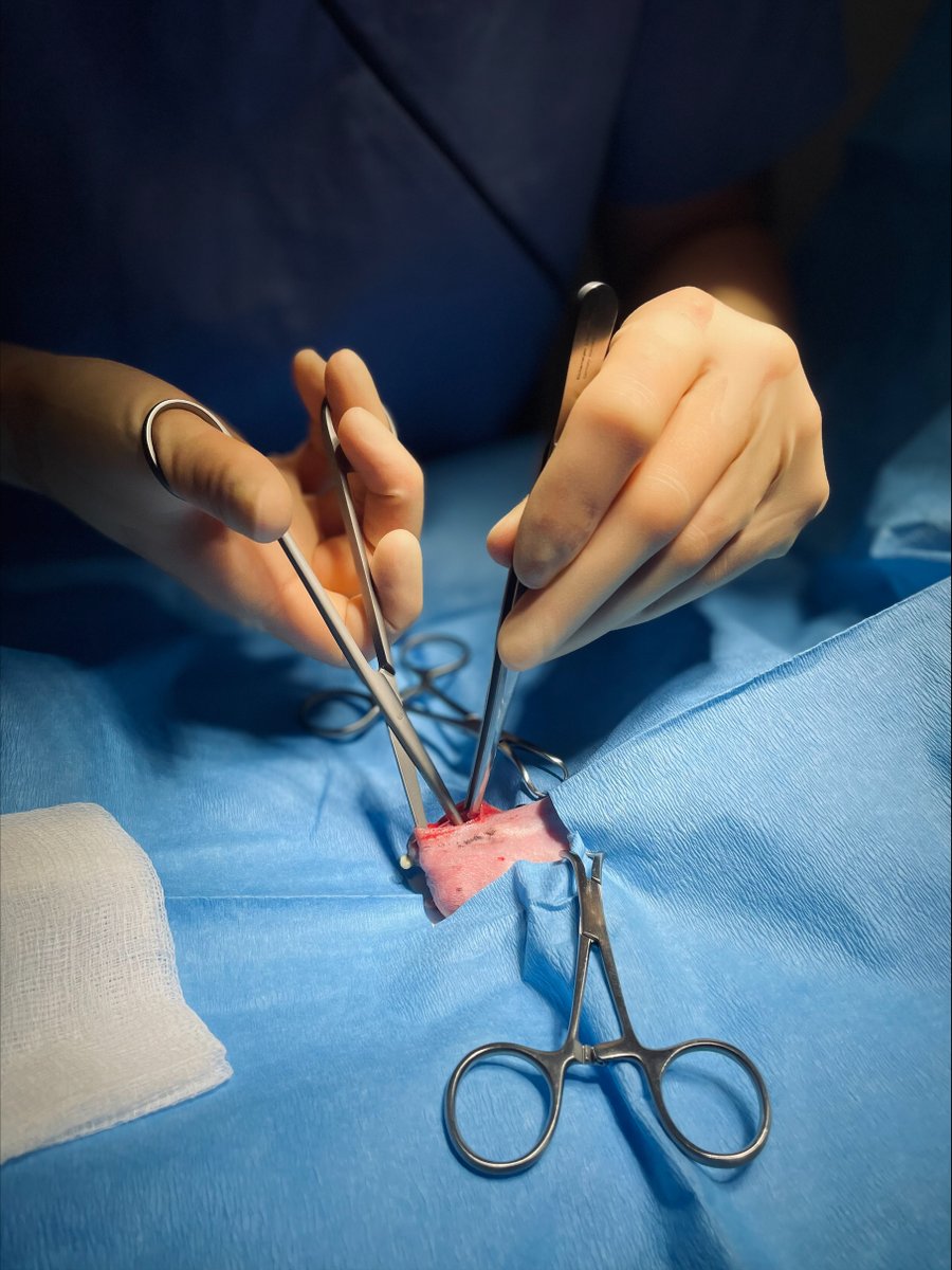 Scarsdale Vets tweet media