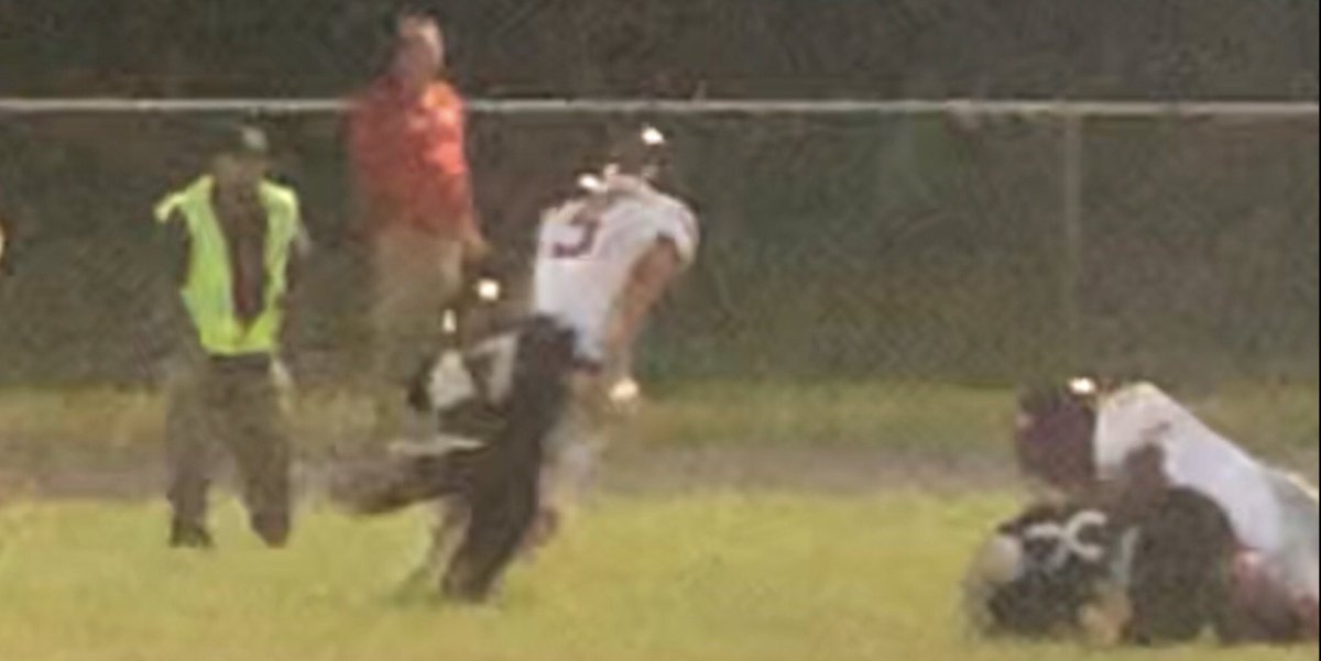 D_Scott12GoBlue's tweet photo. @HTLsports Vote for #TylerScott10 That’s the way to make your presence felt in your first start on D‼️💪🏽🏈 @LuthWestland @AthleticsPCA https://t.co/SJTIjrVcbM