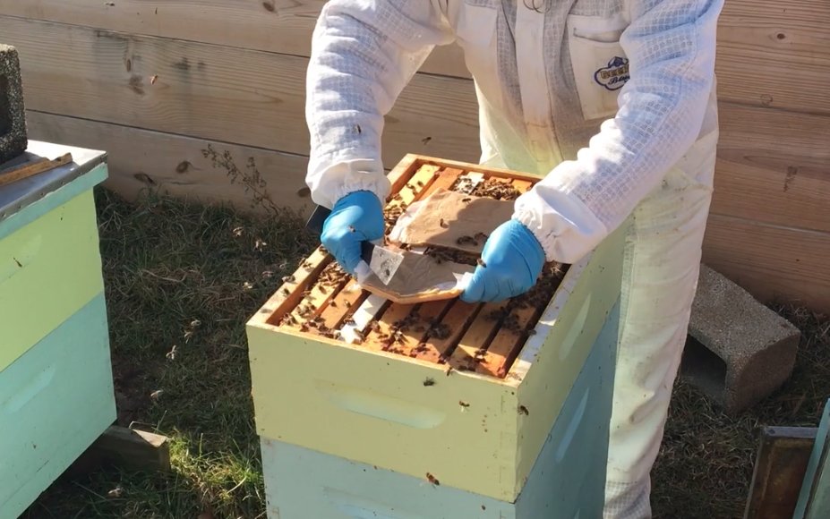 blueskybees's tweet photo. Are your colonies properly prepared for the season? We're sharing with you how Mel applies winter patties in her hives: https://t.co/PqUstNsvTE
Order your winter patties here:
https://t.co/heMoiYZA7O https://t.co/FzcalRDAGX